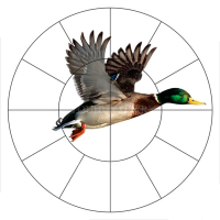 Мишень для пристрелки дробовых ружей 16-дольная "Селезень" (100 шт/уп) (820х820 мм) — от интернет-магазина MWROS
