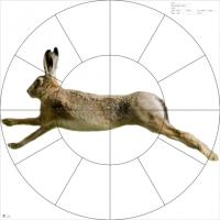 Мишень для пристрелки дробовых ружей 16-дольная "РУСАК" (100 шт/уп) (820х820 мм) — от интернет-магазина MWROS