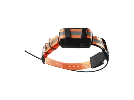 Ошейник Artelv Tracker 0.5W — от интернет-магазина MWROS