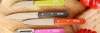Набор ножей Opinel Les Essentiels 112/113/114/115, 4шт, 4 цвета, бук — от интернет-магазина MWROS