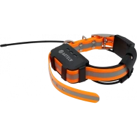 GPS-ошейник ARTELV COLLAR — от интернет-магазина MWROS