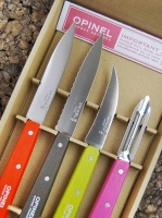 Набор ножей Opinel Les Essentiels 112/113/114/115, 4шт, 4 цвета, бук — от интернет-магазина MWROS